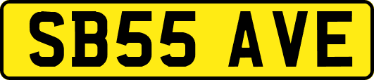SB55AVE