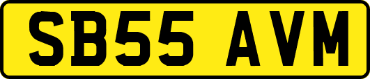 SB55AVM