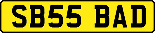 SB55BAD