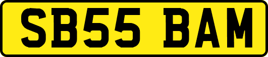 SB55BAM