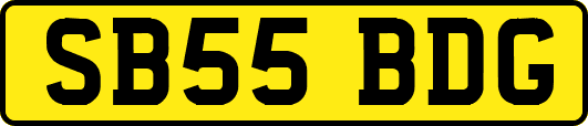 SB55BDG