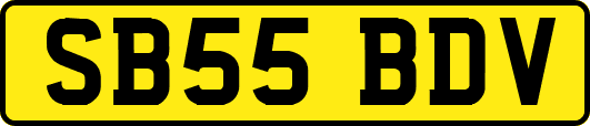 SB55BDV