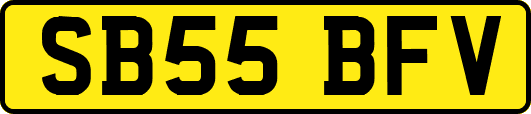 SB55BFV