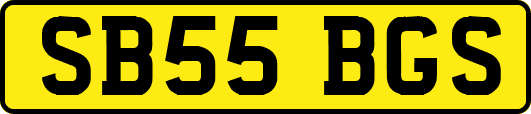 SB55BGS