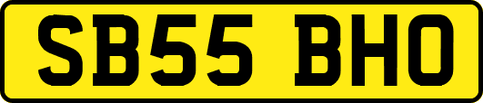 SB55BHO