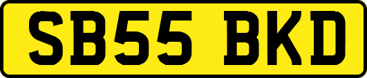 SB55BKD