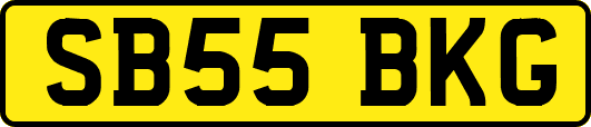 SB55BKG
