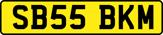 SB55BKM