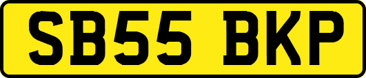SB55BKP