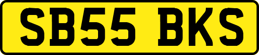 SB55BKS