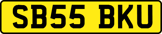 SB55BKU