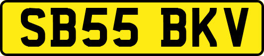 SB55BKV
