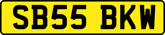 SB55BKW