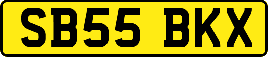 SB55BKX