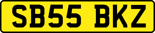 SB55BKZ