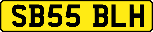 SB55BLH