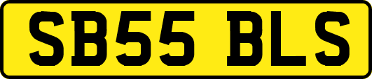 SB55BLS