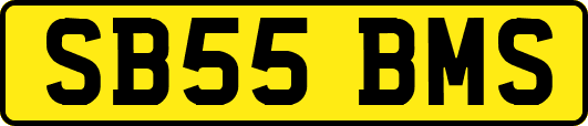 SB55BMS
