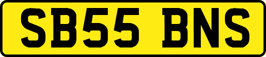 SB55BNS