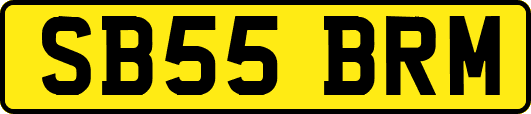 SB55BRM