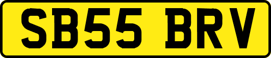 SB55BRV