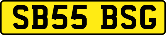 SB55BSG