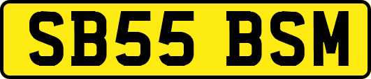 SB55BSM
