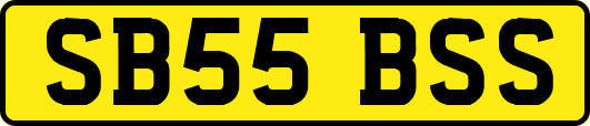 SB55BSS