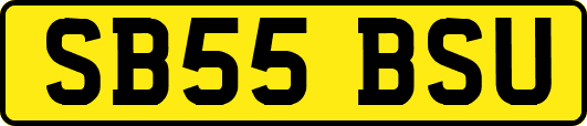 SB55BSU