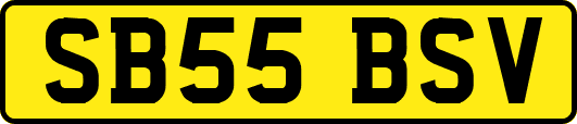 SB55BSV