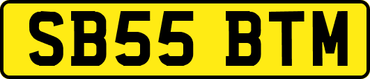 SB55BTM