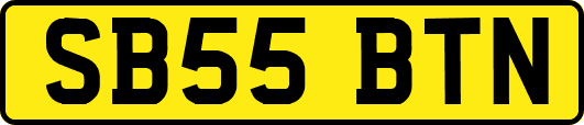 SB55BTN