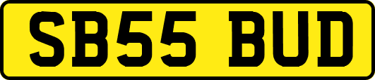 SB55BUD