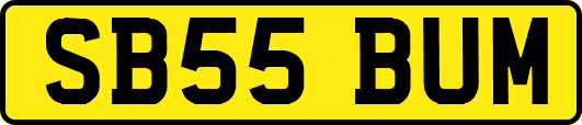 SB55BUM