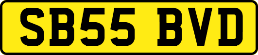 SB55BVD