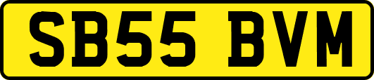 SB55BVM