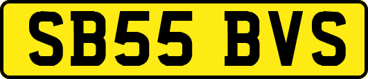 SB55BVS