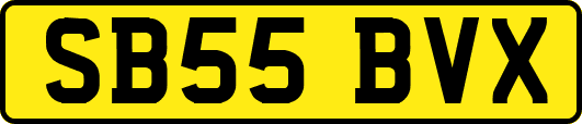 SB55BVX