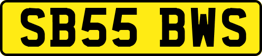 SB55BWS