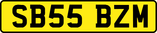 SB55BZM