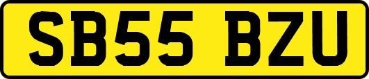 SB55BZU