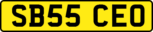SB55CEO
