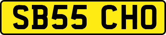 SB55CHO