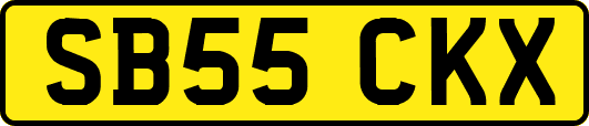 SB55CKX