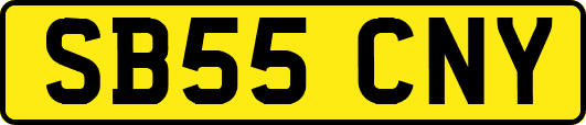 SB55CNY