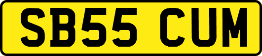 SB55CUM