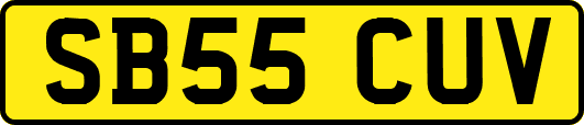 SB55CUV