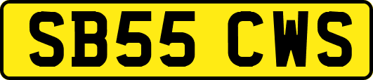 SB55CWS