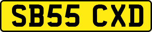 SB55CXD