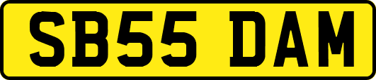 SB55DAM